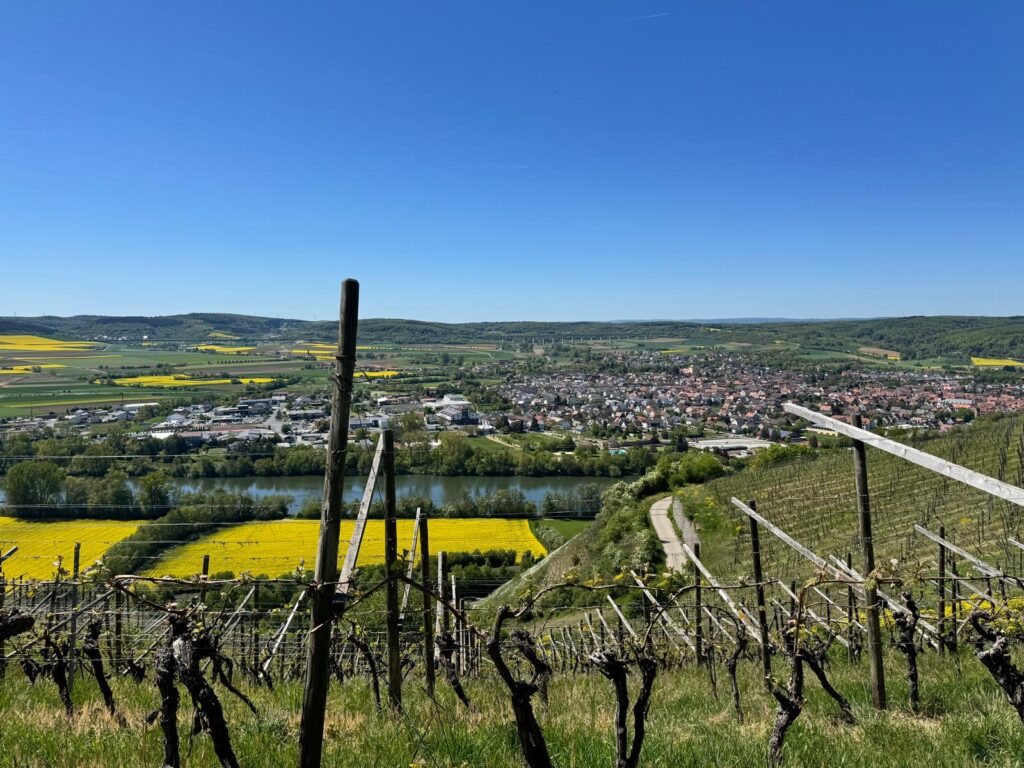 Über Main-Helferlein maintalblick